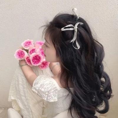 小镇田园风情画
