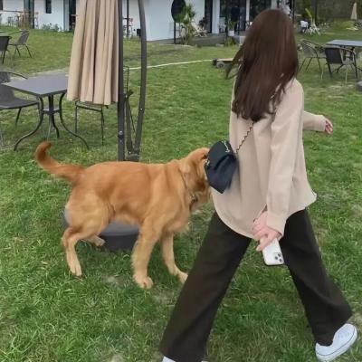 吐崽子